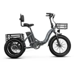 Electric Tricycle