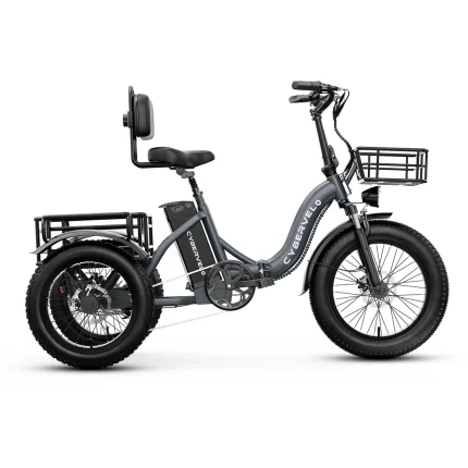 Electric Tricycle
